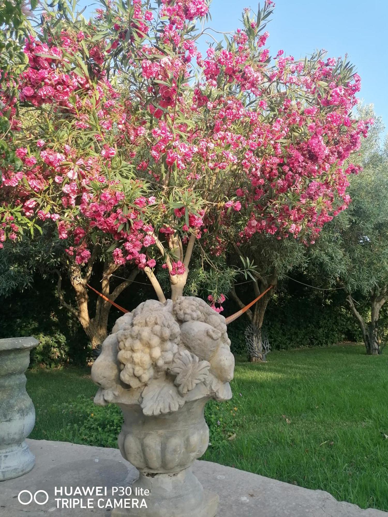 Oasi Di Campagna Hotel Modica Buitenkant foto